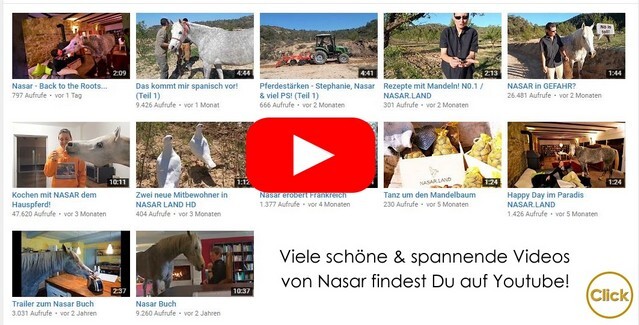 Besuche unseren Youtube Kanal!